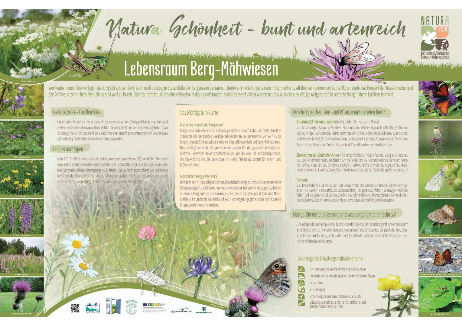 tl_files/downloads/Bilder Projekte/Projektstellen/Natura 2000 1.0/Tafeln/LRT Tafeln/LRT-Tafel Bergmaehwiese.jpg